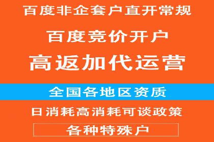 SEM服务公司成功案例解读